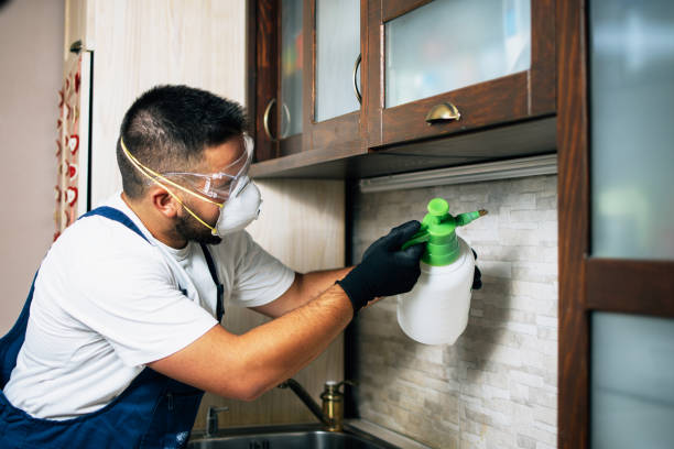 Best Exterminator Services  in Andrews, SC