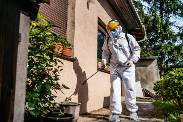Best Flea Control Services  in Andrews, SC