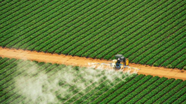 Best Best Pest Control Companies  in Andrews, SC