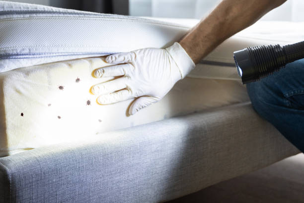 Best Affordable Exterminators  in Andrews, SC