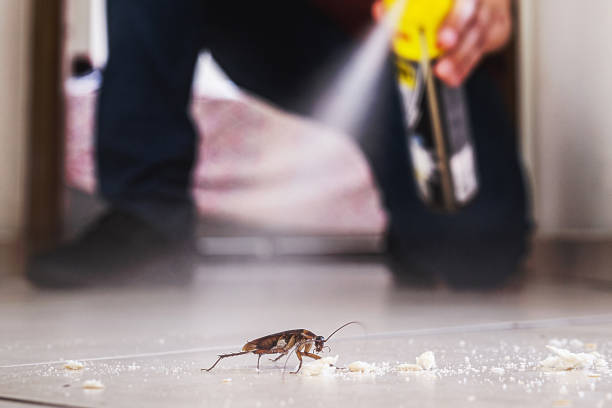 Best Mosquito Control Services  in Andrews, SC