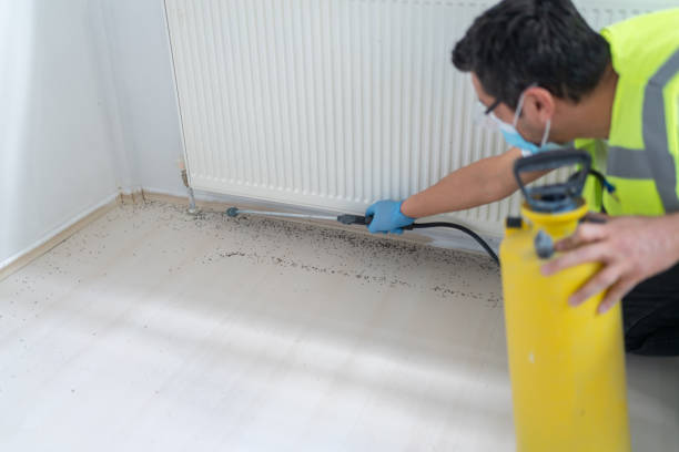 Best Pest Removal Services  in Andrews, SC