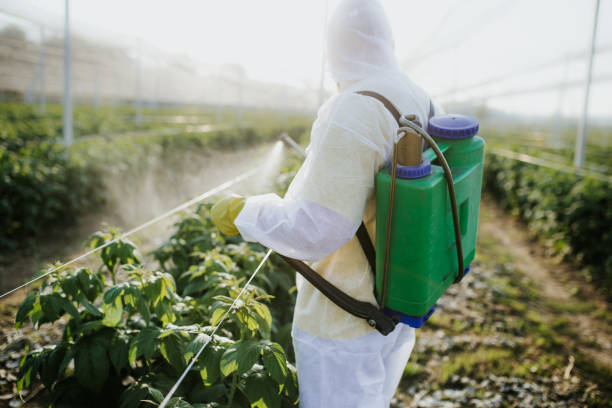 Best Wildlife Control Services  in Andrews, SC